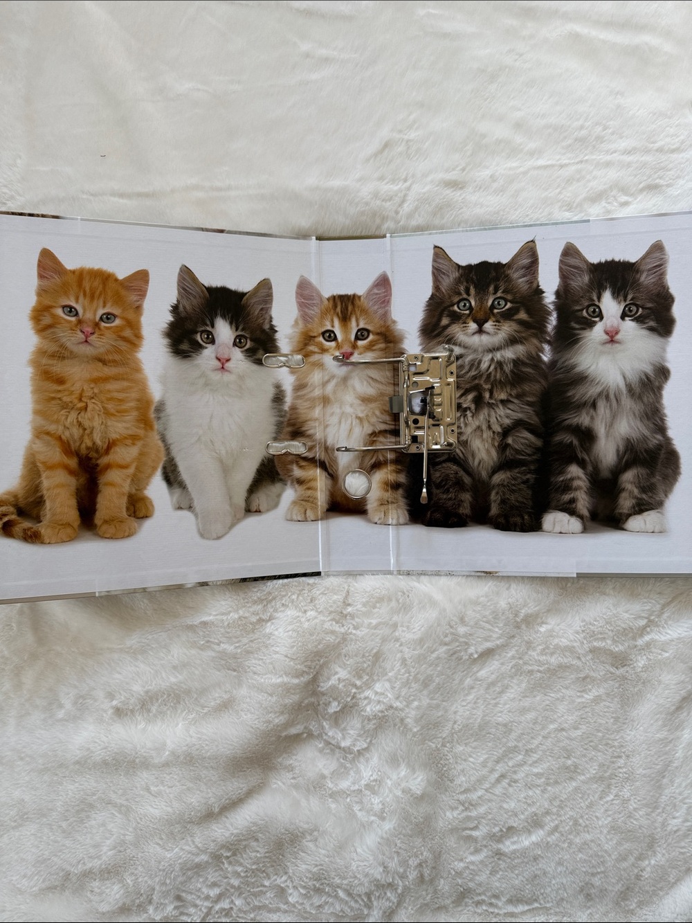 HERMA Kitten Binder